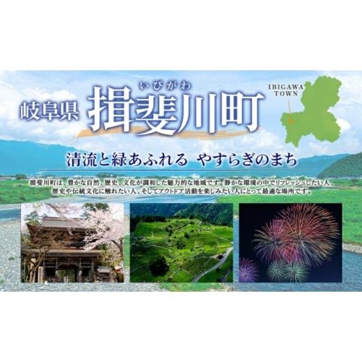 ふるさと納税 コーヒー 岐阜県 揖斐川町 No.5568-0519 定期便 3回 エクササイズ コーヒー 30本入り 1袋 美容 健康 ダイエット 飲料 珈琲 ポリフェノール アミ…_6