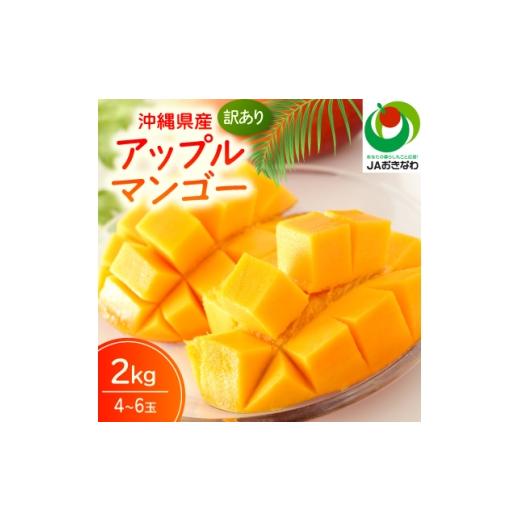 ふるさと納税 マンゴー 沖縄県 北中城村 2026年6月から順次発送・訳あり JAおきなわ厳選 アップルマンゴー2.0kg(4〜6玉) 1724296