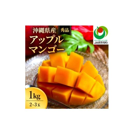 ふるさと納税 マンゴー 沖縄県 北中城村 2026年6月から順次発送・化粧箱 JAおきなわ厳選 秀品アップルマンゴー1kg(2〜3玉) 1724299