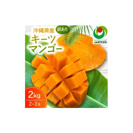 ふるさと納税 マンゴー 沖縄県 北中城村 2026年8月から順次発送・訳あり JAおきなわ厳選 幻のキーツマンゴー2kg(2〜3玉) 1724304