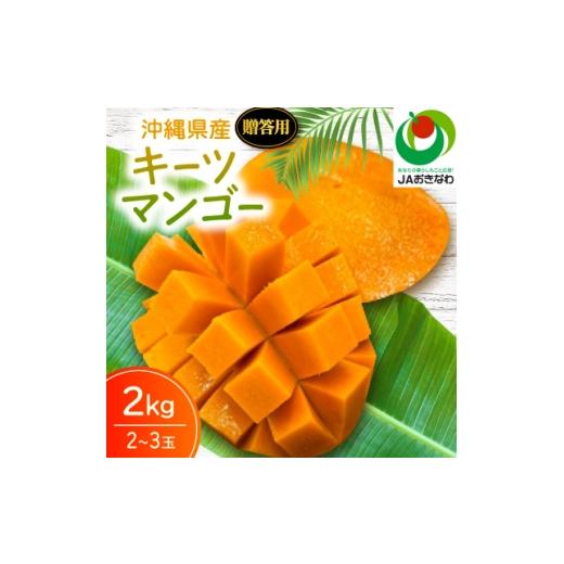 ふるさと納税 マンゴー 沖縄県 北中城村 2026年8月から順次発送・贈答用 JAおきなわ厳選 幻のキーツマンゴー2kg(2〜3玉) 1724305