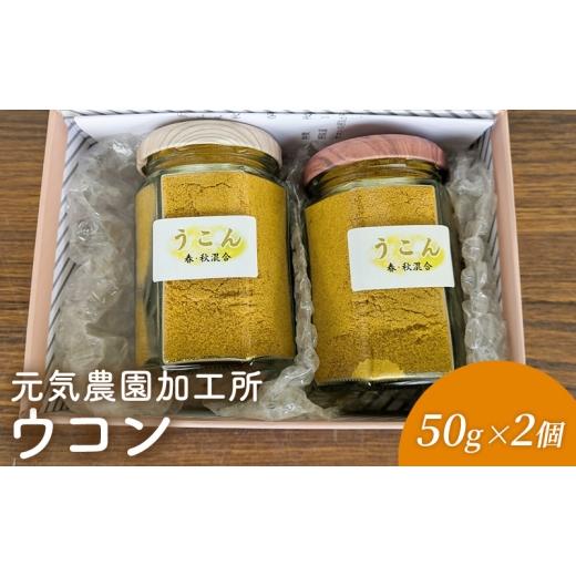 ふるさと納税 加工品等 三重県 名張市 元気農園加工所 ウコン50g×2個 うこん 粉末 春ウコン 秋ウコン ターメリック クルクミン 三重県 名張市