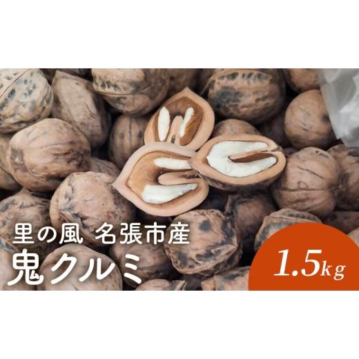 ふるさと納税 豆類 三重県 名張市 里の風 名張市産鬼クルミ 1.5kg くるみ 胡桃 三重県 名張市