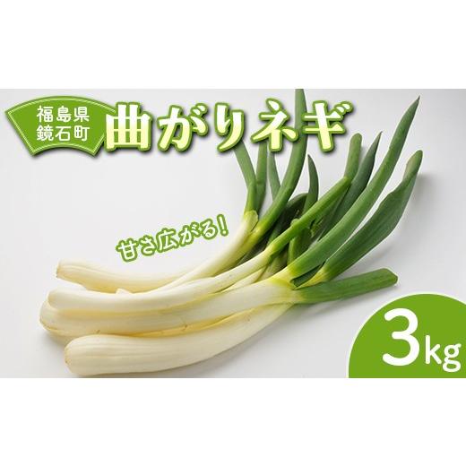 ふるさと納税 野菜類 ねぎ 福島県 鏡石町 先行予約 甘さ広がる 鏡石町産 曲がりネギ 3kg サイズ不揃い 家庭用 白ねぎ 葱 F6Q-480