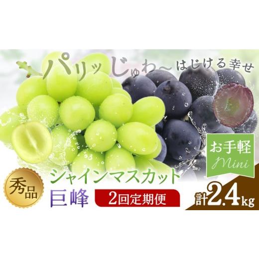 ふるさと納税 ぶどう マスカット 熊本県 荒尾市 2回定期便 秀品 シャインマスカット 巨峰 計2.4kg 日本フルーツ株式会社[8月上旬-8月末頃出荷]熊本県 荒尾…