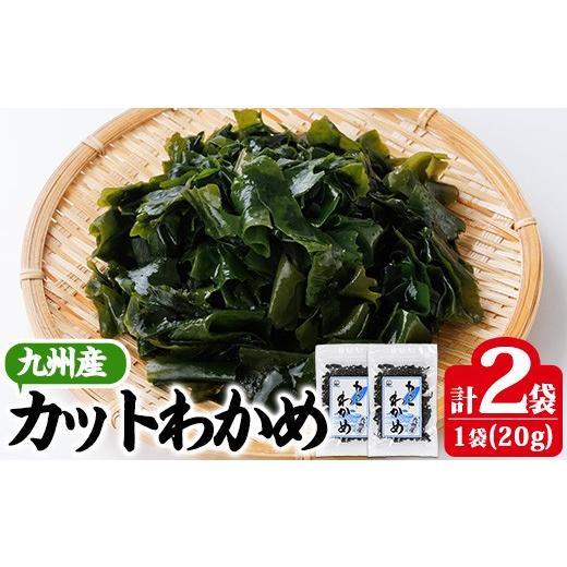 ふるさと納税 のり・海藻 大分県 佐伯市 九州産 カットわかめ (計2袋・1袋20g入) 海藻 わかめ 味噌汁 みそ汁 サラダ 酢の物 スープ 国産 九州産 常温 大分県 …