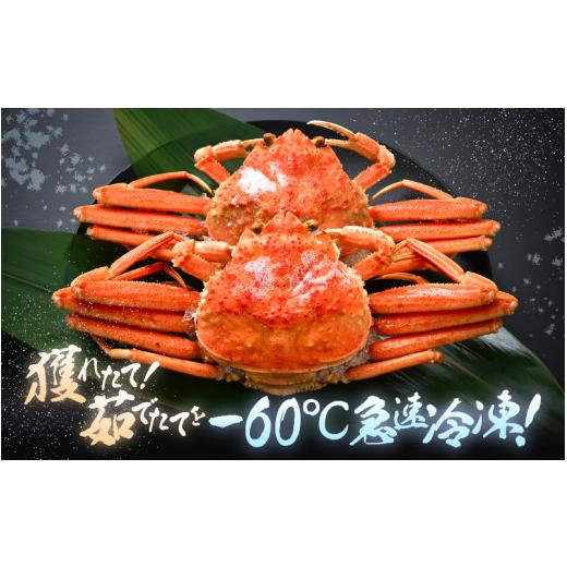 ふるさと納税 カニ ずわいガニ 福井県 美浜町 《冷凍》獲れたて 茹でたての越前セイコガニ小 2杯を-60°Cで急速冷凍しました 越前がに 雌 ズワイガニ カニ 海…の画像