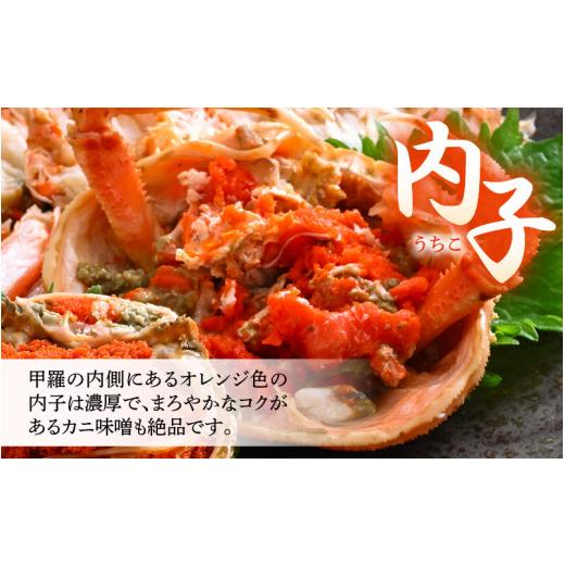 ふるさと納税 カニ ずわいガニ 福井県 美浜町 《冷凍》獲れたて 茹でたての越前セイコガニ小 2杯を-60°Cで急速冷凍しました 越前がに 雌 ズワイガニ カニ 海…の画像