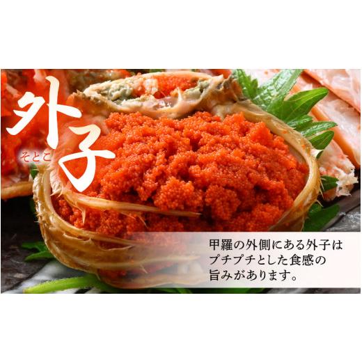 ふるさと納税 カニ ずわいガニ 福井県 美浜町 《冷凍》獲れたて 茹でたての越前セイコガニ小 2杯を-60°Cで急速冷凍しました 越前がに 雌 ズワイガニ カニ 海…の画像