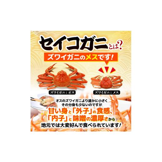ふるさと納税 カニ ずわいガニ 福井県 美浜町 《冷凍》獲れたて 茹でたての越前セイコガニ小 2杯を-60°Cで急速冷凍しました 越前がに 雌 ズワイガニ カニ 海…の画像