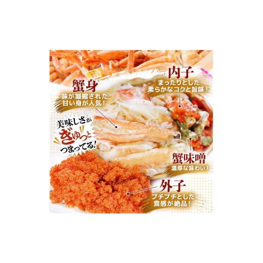 ふるさと納税 カニ ずわいガニ 福井県 美浜町 《冷凍》獲れたて 茹でたての越前セイコガニ小 2杯を-60°Cで急速冷凍しました 越前がに 雌 ズワイガニ カニ 海…の画像