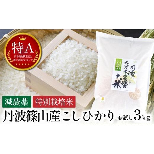 ふるさと納税 米 コシヒカリ 兵庫県 丹波篠山市 [スピード出荷] 特A 減農薬 特別栽培米こしひかり 3kg お米 精米 コシヒカリ 丹波篠山産 コメ こめ お米 こ…