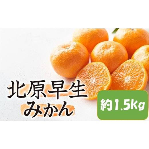 ふるさと納税 果物類 みかん 福岡県 新宮町 ZF172. 予約受付・期間限定商品 北原早生みかん(1.5kg程度).2026年10月〜11月配送