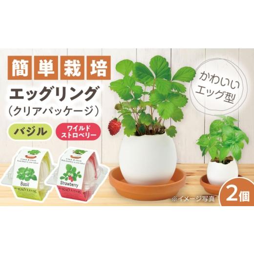 ふるさと納税 花・苗木 愛知県 瀬戸市 エッグリング クリアパッケージ 2個(バジル、ワイルドストロベリー) / 栽培キット 園芸 ハーブ / 瀬戸市 / 聖新陶…