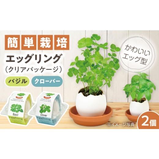 ふるさと納税 花・苗木 愛知県 瀬戸市 エッグリング クリアパッケージ 2個(バジル、クローバー) / 栽培キット 園芸 ハーブ / 瀬戸市 / 聖新陶芸