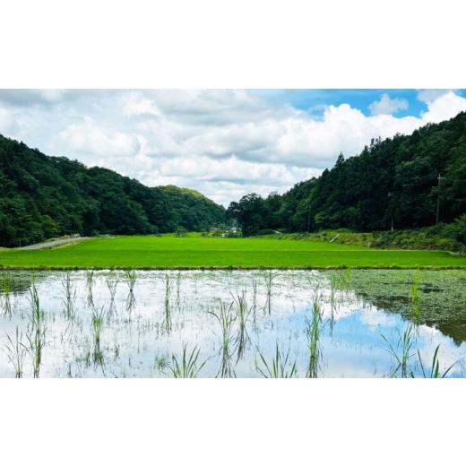 ふるさと納税 お茶類 愛知県 瀬戸市 まこも粉末 MACOCHA 120g（ベージュ）／ まこも 真菰 お茶 ／ 瀬戸市 ／ まこあらファーム BBEQ003の画像