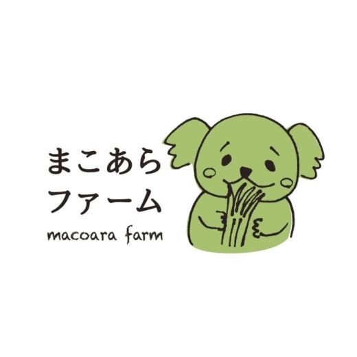 ふるさと納税 お茶類 愛知県 瀬戸市 まこも粉末 MACOCHA 120g（グリーン）／ まこも 真菰 お茶 ／ 瀬戸市 ／ まこあらファーム BBEQ004の画像