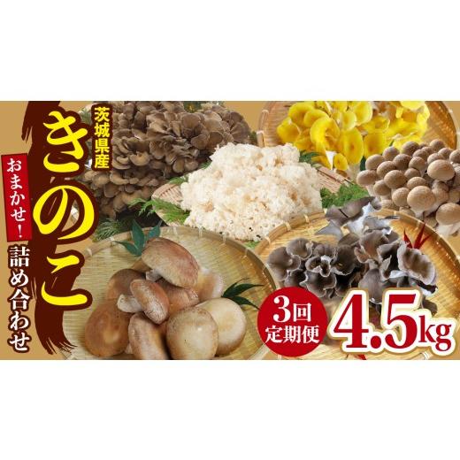 ふるさと納税 野菜類 きのこ 茨城県 城里町 3ヶ月 連続定期便 きのこ の 詰め合わせ Mサイズ 約1.5kg 大容量 キノコ 舞茸 あわび茸 たもぎ茸 しいたけ ぶなし…