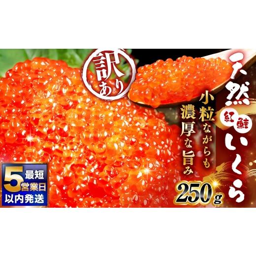ふるさと納税 いくら 北海道 釧路市 7月発送 紅鮭いくら醤油漬け 250g いくら イクラ 訳あり 規格外 小分け 個包装 冷凍 海鮮 海鮮丼 いくら丼 イクラ丼 醤油…