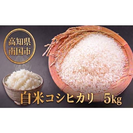 ふるさと納税 米 コシヒカリ 高知県 南国市 白米 コシヒカリ 5キロ 5kg 数量限定 米 コメ お米 ご飯 おにぎり こめ 令和7年度 農家直送 産地直送 ふるさと納税…