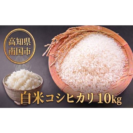 ふるさと納税 米 コシヒカリ 高知県 南国市 白米 コシヒカリ 10キロ 10kg 数量限定 米 コメ お米 ご飯 おにぎり こめ 令和7年度 農家直送 産地直送 ふるさと納…