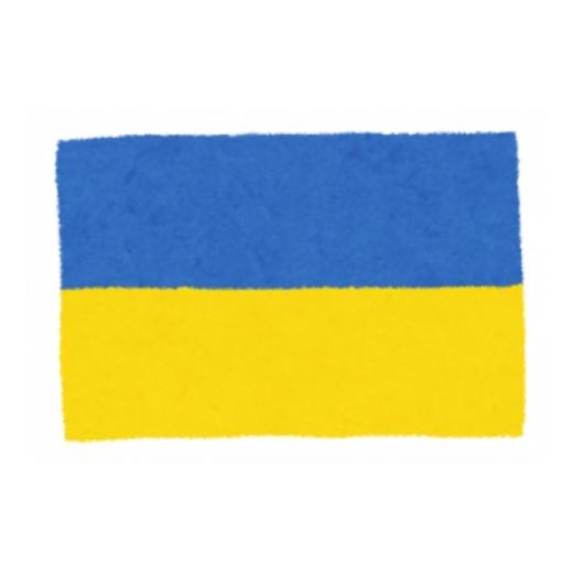 ふるさと納税 自治体にお任せ 千葉県 柏市 返礼品なし ウクライナ緊急支援寄附金  