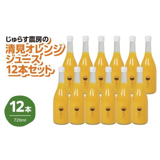 ふるさと納税 果汁飲料 みかん 愛媛県 八幡浜市 じゅらす農房の清見オレンジジュース12本セット H32-13 1296473 YWTH012の画像