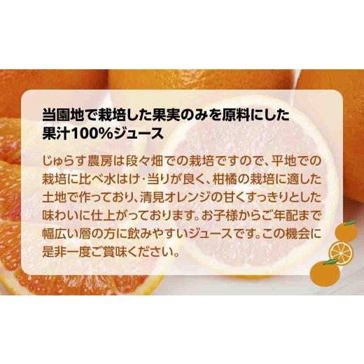 ふるさと納税 果汁飲料 みかん 愛媛県 八幡浜市 じゅらす農房の清見オレンジジュース12本セット H32-13 1296473 YWTH012の画像