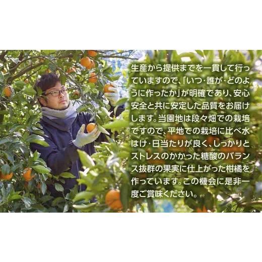 ふるさと納税 果汁飲料 みかん 愛媛県 八幡浜市 じゅらす農房の清見オレンジジュース12本セット H32-13 1296473 YWTH012の画像