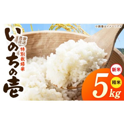 ふるさと納税 米 愛知県 小牧市 R8年産新米 先行受付 特別栽培米「いのちの壱」(5kg) 農家直送