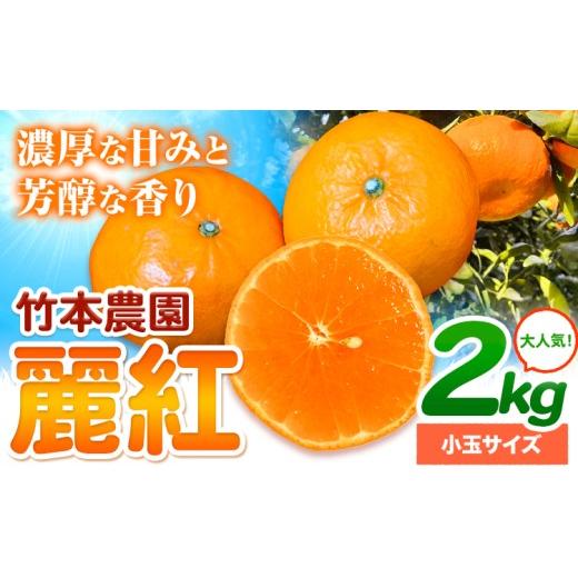 ふるさと納税 果物類 みかん 和歌山県 日高川町 知る人ぞ知る柑橘の女王。麗紅 (れいこう) 2kg 小玉サイズ[2027年2月中旬-5月中旬頃出荷]竹本農園 和歌山県 …