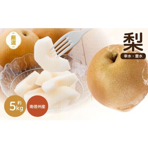 ふるさと納税 梨 長野県 飯田市 南信州産 梨 約5kg 幸水 ・ 豊水 いずれか1品種 おまかせ 2026年8月中旬〜9月中旬発送予定 | 梨 なし ナシ 幸水 豊水 果物 く…