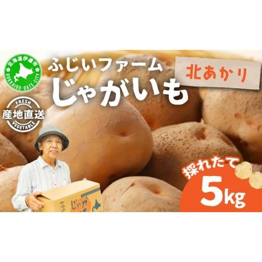 ふるさと納税 野菜類 じゃがいも 北海道 伊達市 先行予約 北海道産 じゃがいも(北あかり) 約5kg 55250842 ジャガイモ 馬鈴薯 ポテト 芋 イモ きたあかり キタ…