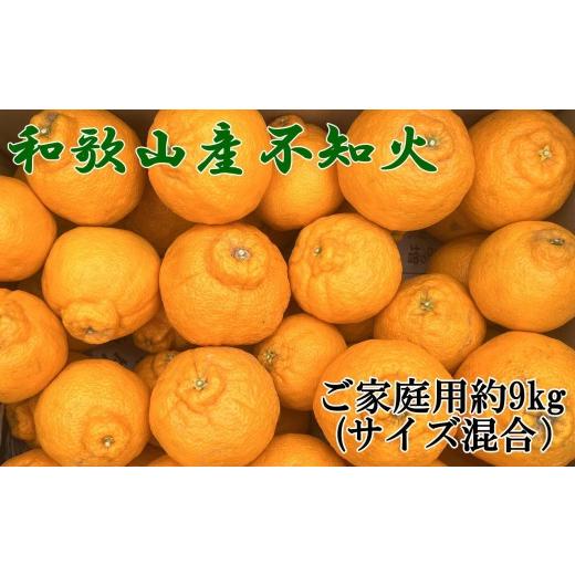ふるさと納税 みかん・柑橘類 デコポン 和歌山県 那智勝浦町 「農園直送」和歌山県産不知火 もりもりの約9kg(サイズ混合 ご家庭用) 2027年2月下旬頃より順次…