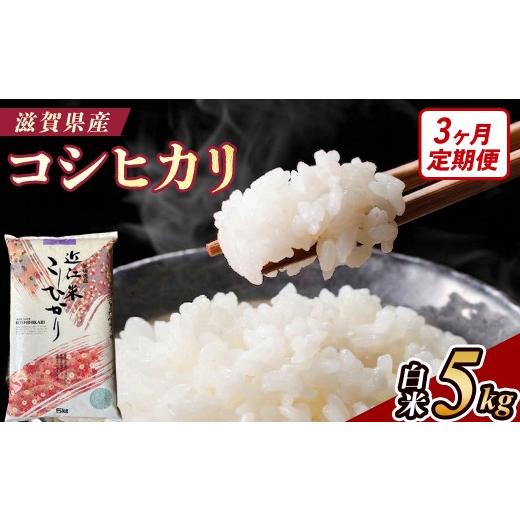 ふるさと納税 米 コシヒカリ 滋賀県 甲賀市 3ヶ月定期便 令和7年産 近江米コシヒカリ白米5kg