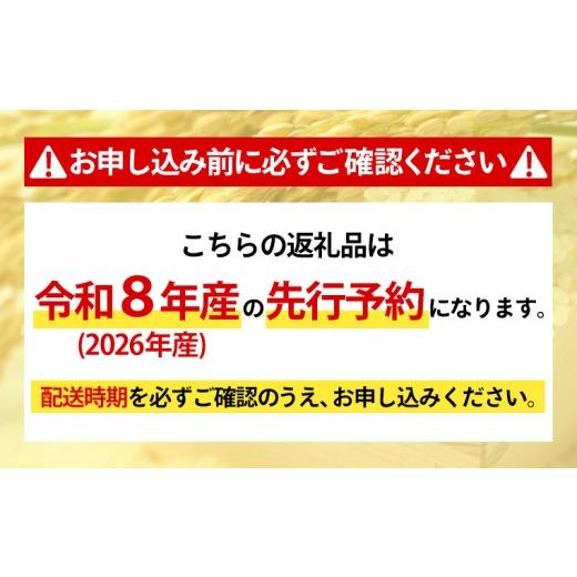ふるさと納税 米 つや姫 山形県 山形市  定期便5回 令和8年産 山形産 特別栽培米 つや姫 5kg×5ヶ月(計25kg) FY26-029の画像