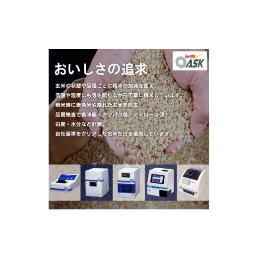 ふるさと納税 米 つや姫 山形県 山形市  定期便5回 令和8年産 山形産 特別栽培米 つや姫 5kg×5ヶ月(計25kg) FY26-029の画像