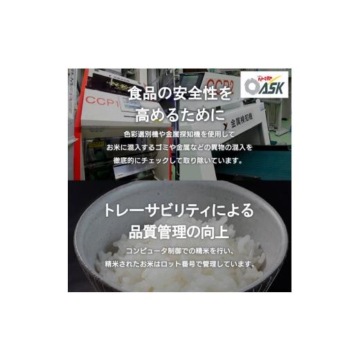 ふるさと納税 米 つや姫 山形県 山形市  定期便5回 令和8年産 山形産 特別栽培米 つや姫 5kg×5ヶ月(計25kg) FY26-029の画像