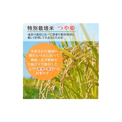ふるさと納税 米 つや姫 山形県 山形市  定期便5回 令和8年産 山形産 特別栽培米 つや姫 5kg×5ヶ月(計25kg) FY26-029の画像