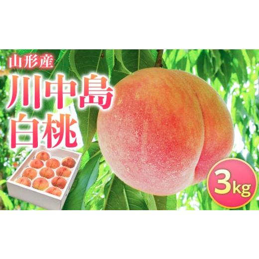 ふるさと納税 もも 山形県 山形市 山形県産 川中島白桃 3kg FY26-074