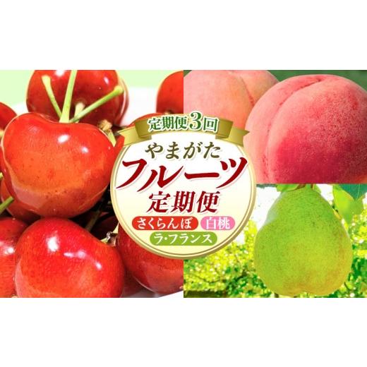 ふるさと納税 果物類 さくらんぼ 山形県 山形市 定期便3回 やまがたフルーツ定期便 さくらんぼ /白桃/ラフランス FY26-075