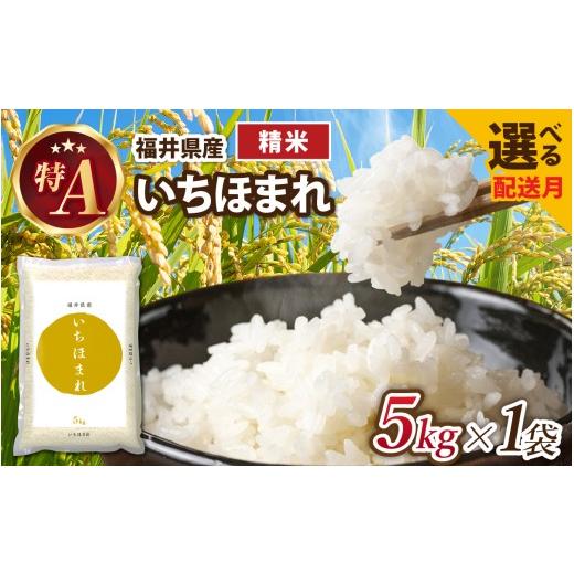ふるさと納税 米 福井県 福井市 5月発送 生活応援 令和7年産 福井が生んだブランド米「福井県産いちほまれ」 5kg 1袋 精米 A-014002_05 / 米 こめ お米 いち…