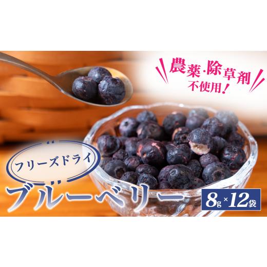 ふるさと納税 果物類 茨城県 つくば市 トムのぱくぱくフリーズドライブルーベリー 8g×12袋 │ ブルーベリー 国産 ベリー スイーツ 果実 果物 おやつ 健康 茨…