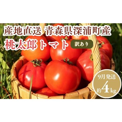 ふるさと納税 野菜類 トマト 青森県 深浦町  9月発送 訳あり 青森県産 桃太郎 トマト 約4kg 大玉 tomato 新鮮 野菜 旬 甘い 完熟 ジュース 産地直送 農家直送 …_1