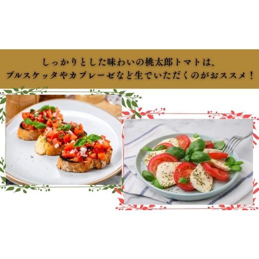 ふるさと納税 野菜類 トマト 青森県 深浦町  10月発送 訳あり 青森県産 桃太郎 トマト 約4kg 大玉 tomato 新鮮 野菜 旬 甘い 完熟 ジュース 産地直送 農家直送…_4