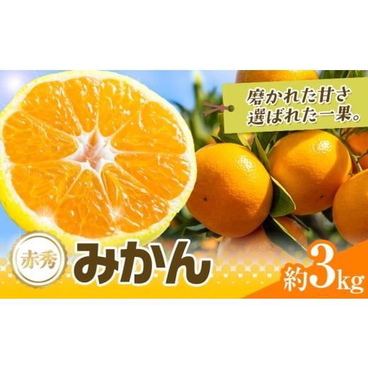 ふるさと納税 果物類 みかん 熊本県 荒尾市 先行予約 赤秀 みかん 旬 柑橘 蜜柑 鶴田農園 約3kg [9月中旬-1月下旬頃出荷]極早生 早生 中生 晩生 フルーツ 果…