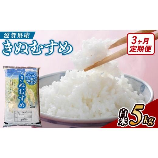 ふるさと納税 米 きぬむすめ 滋賀県 甲賀市 3ヶ月定期便 令和7年産 近江米きぬむすめ白米5kg