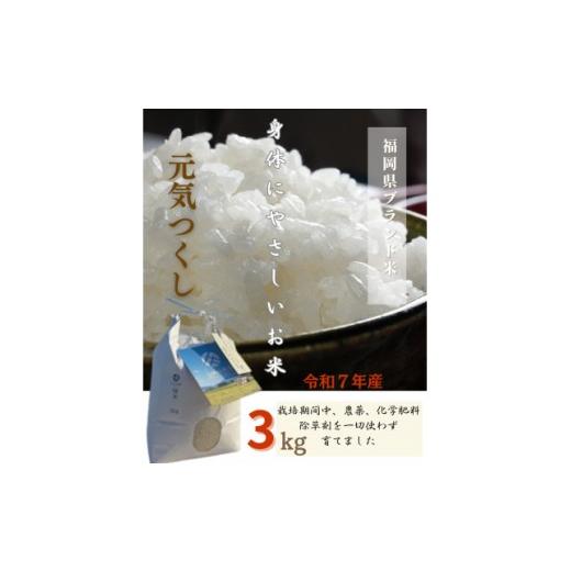 ふるさと納税 米 福岡県 筑前町 令和7年産 身体にやさしいお米 栽培期間中、農薬・化学肥料を一切使わず育てたお米 3kg 農家直送いたします 精米 白米 お米 米…