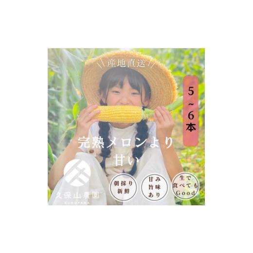 ふるさと納税 とうもろこし 福岡県 筑前町 完熟メロンのように甘い 朝採り とうもろこし 5〜6本(約1.5キロ〜2キロ) とうもろこしトウモロコシ 甘い コーン 野…
