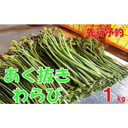 ふるさと納税 野菜類 山菜 山形県 小国町  先行予約・数量限定 採れたて山菜 あく抜きわらび１kgの画像